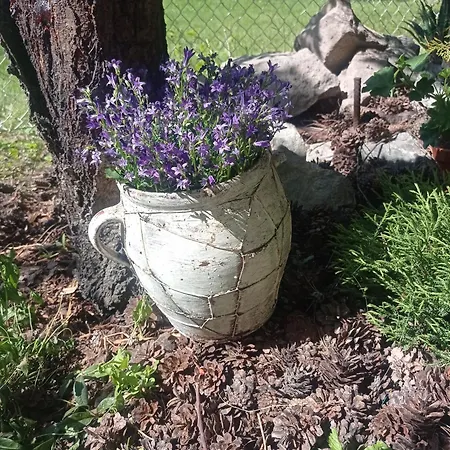 Eva Liptovsky Svaty Peter