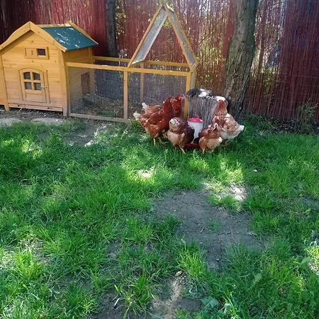 Eva Casa de Férias *